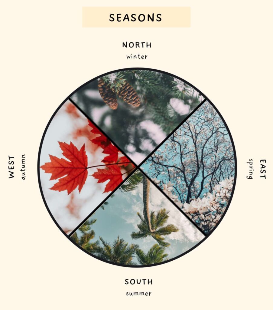 medicine wheel - seasons