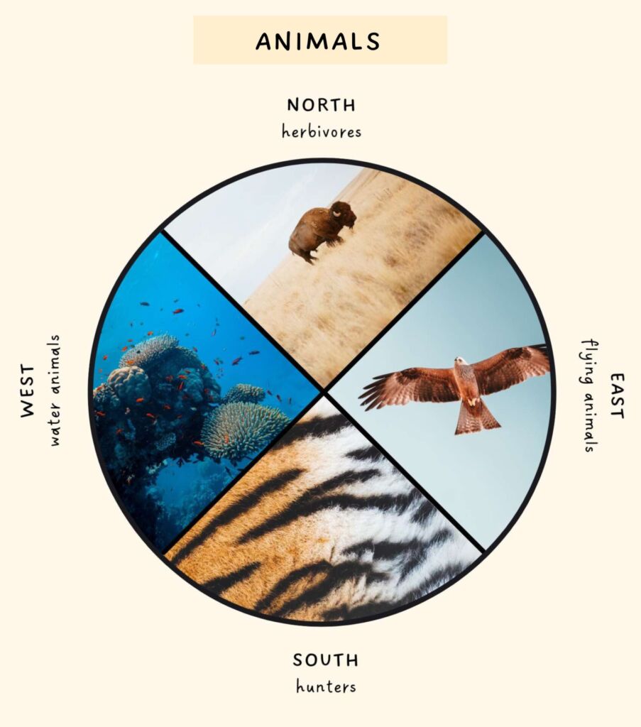 medicine wheel - animals