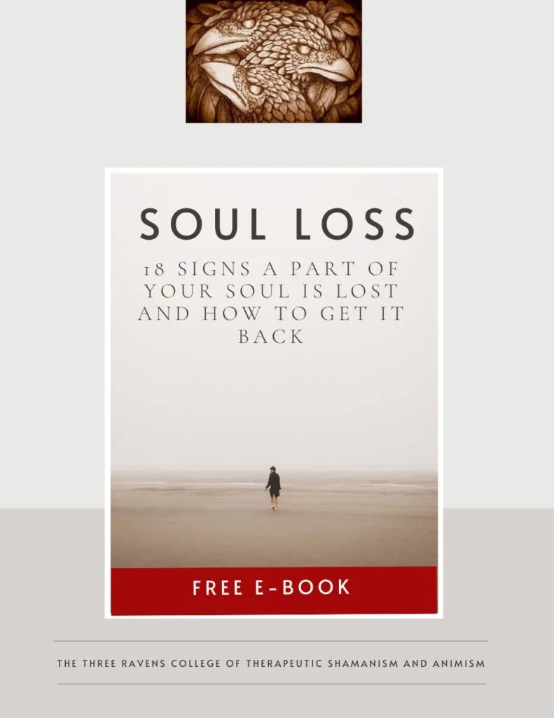 soul loss e-book