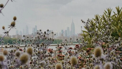 What It Really Means to Be an Adult – Seen & Heard Interview