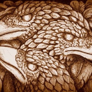 Finding your Wild Soul - Feb 2026