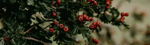 Autumn Equinox