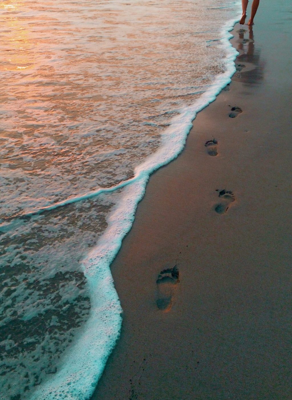 genevieve-dallaire-7zT-vbOFoSM-unsplash genevieve-dallaire-7zT-vbOFoSM-unsplash
